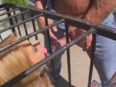 Trina Michaels gets caged up outside